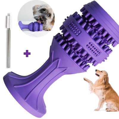 Do.Dog Toothbrush Chew Toy Profile Picture