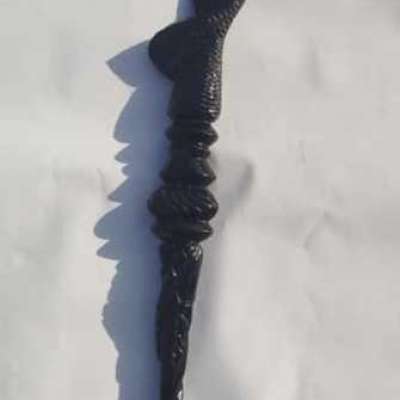 Walking stick Profile Picture
